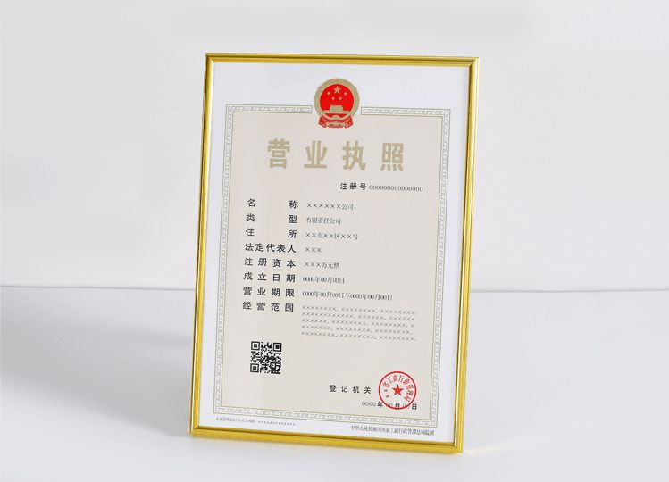 浙江营业执照翻译盖章服务-政府认可的权威翻译公司